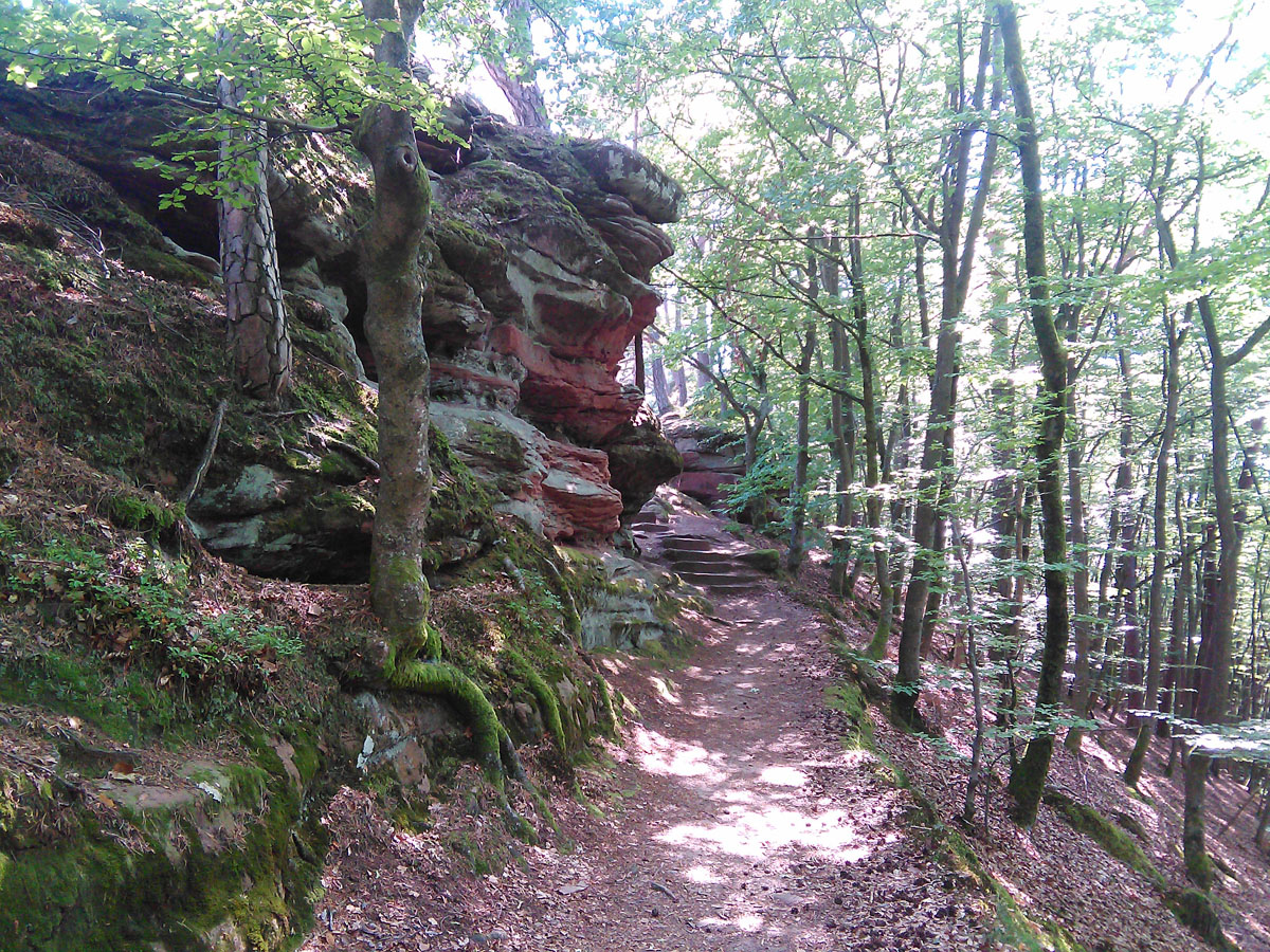 Tammy's Wanderungen - Wald, Felsen, Burgen und Wein